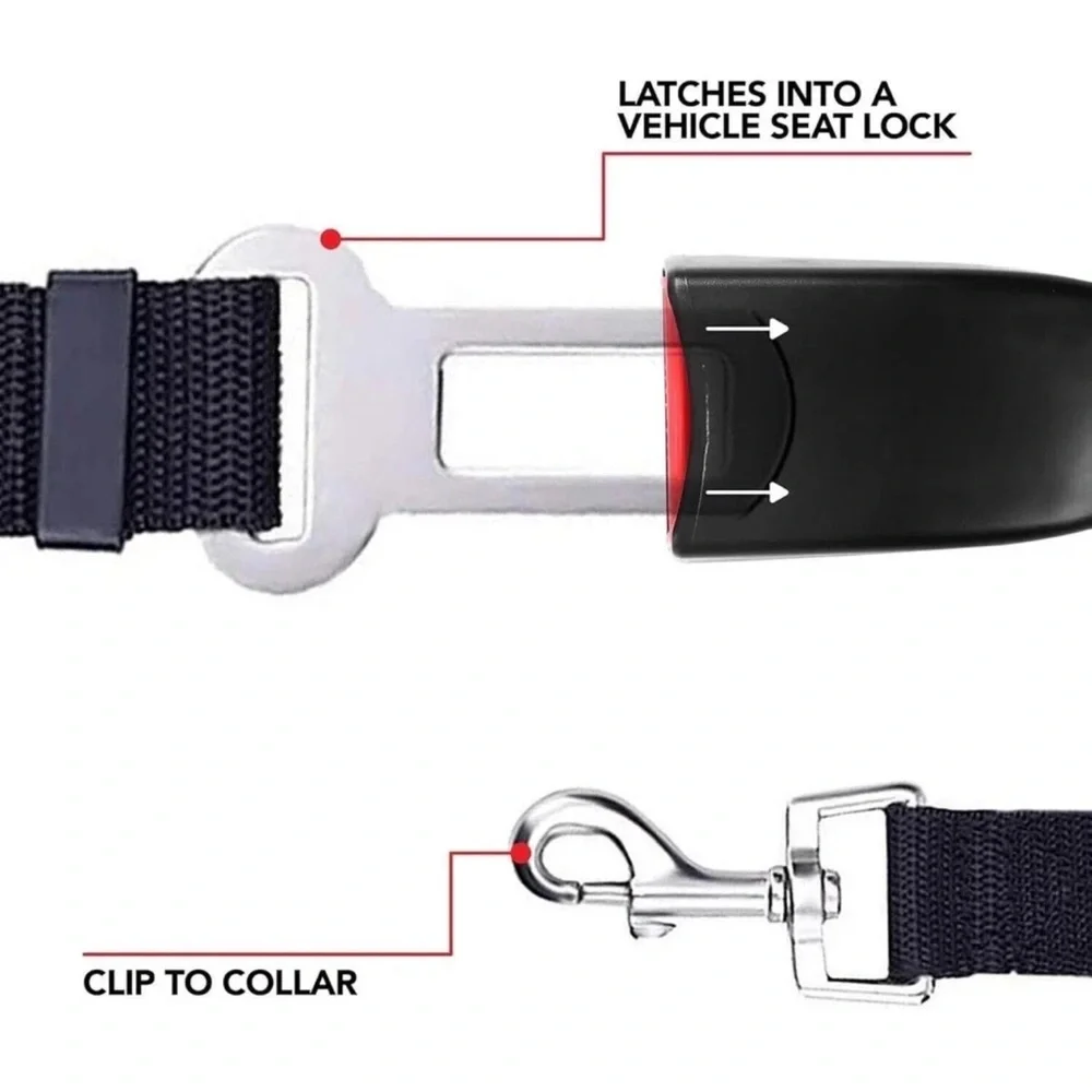 Dog seatbelt